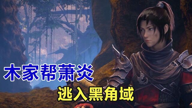 斗破苍穹:木家得罪云岚宗,帮萧炎逃入黑角域,魂殿轩护法登场