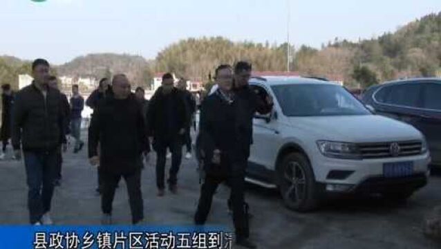 武宁县政协乡镇片区活动五组到清江乡开展乡村振兴调研