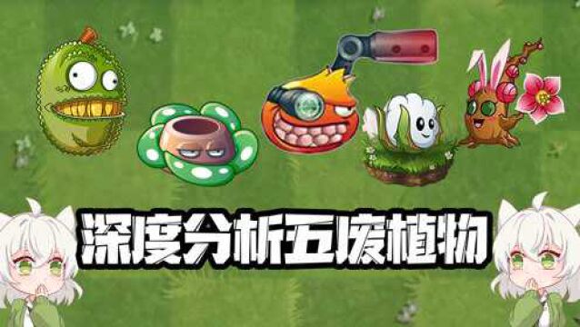 植物大战僵尸:深度分析五废植物!无药可救的只有它!