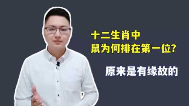 十二生肖中,鼠为何排第一位?原来是有缘故的,真的不能小看它