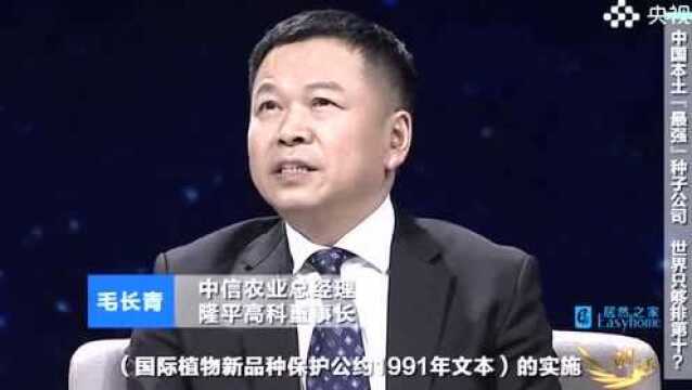 种子!种子!我国打响种业保卫战:小小的种子,为何如此重要?