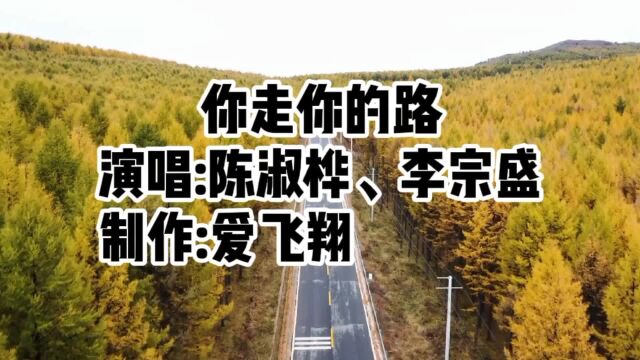 陈淑桦、李宗盛一首《你走你的路》你走你的路,直到我们无法接触