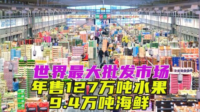 世界最大批发市场,17万人在此工作,年营业额100亿欧元#纪录片推荐官