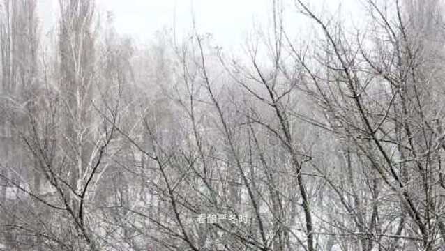 大寒携雨水大风而至!未来几天平潭天气……