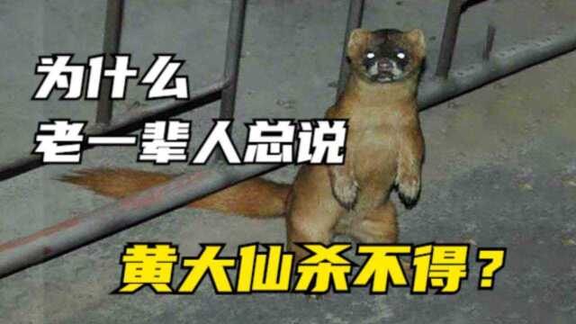 为啥老一辈人总说黄鼠狼不能杀?江苏23人捕杀黄鼠狼,遭罚款千万