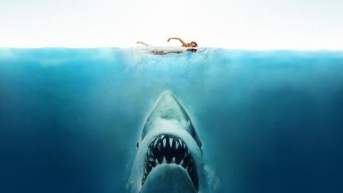 海洋深处的大白鲨到底有多可怕？