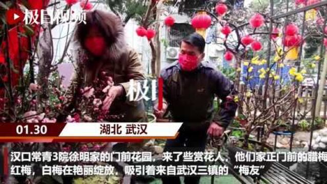 【视频】自家门前建绿地 成为居民打卡的“小花园”