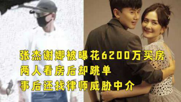 张杰谢娜被曝花6200万买豪宅,两人看房后却跳单,事后还找律师威胁中介