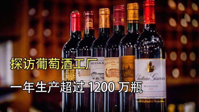 探访葡萄酒厂:从果园到工厂,一年生产超1200万瓶