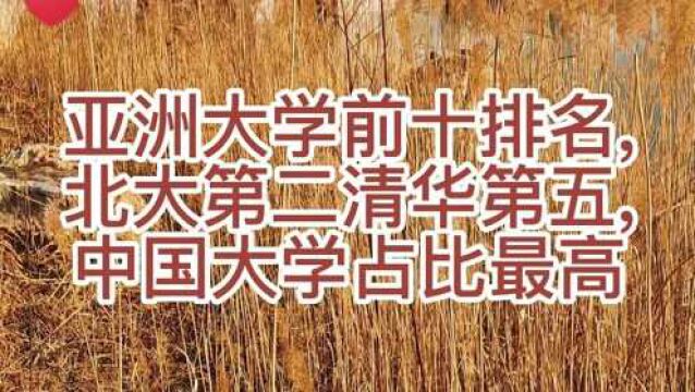 亚洲大学前十排名,北大第二清华第五,中国大学占比最高