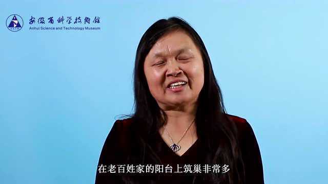 科普微讲堂 | 鸟类保护意义深远,我们该如何从自身做起?