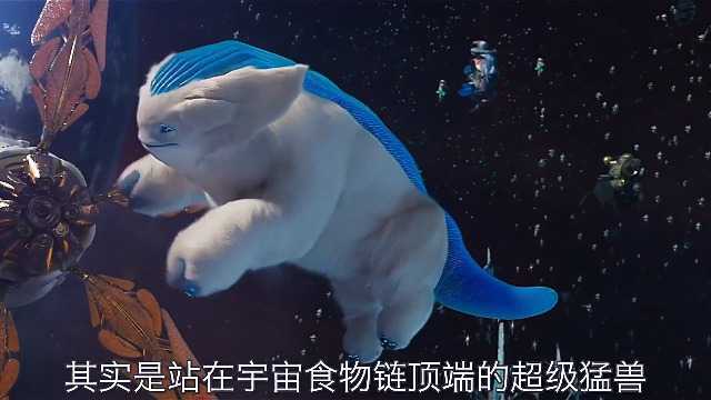 宇宙第一猛兽,有点萌!