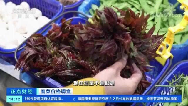 香椿价格走高 每斤上百元