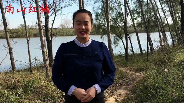 水花生又称“空心莲子草”是什么植物?农民非常讨厌它,为啥