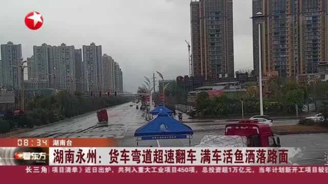 湖南永州:货车弯道超速翻车 满车活鱼洒落路面——警民合力救人捡鱼 道路交通很快恢复