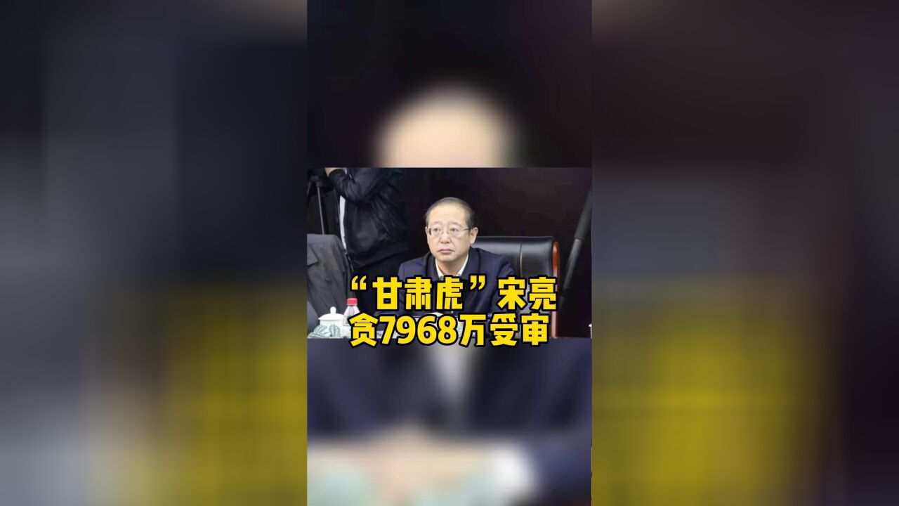 “甘肃虎”宋亮贪7968万元受审