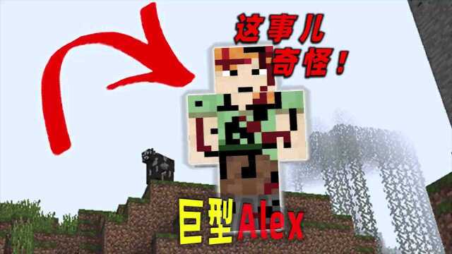 我的世界:巨型Alex是否真的存在呢?