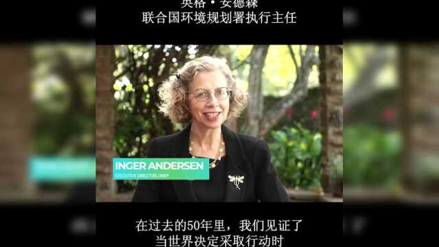 【UNEP@50】50年来,始终奋战在环保最前沿!