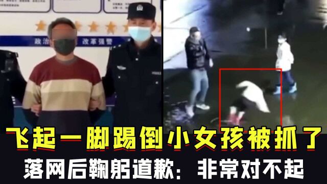 飞起一脚踢倒小女孩,陕西男子被警方抓了,落网后鞠躬道歉:非常对不起