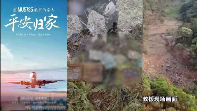 借东航坠机事件营销?山西一地产公司被立案调查:从重从快处理