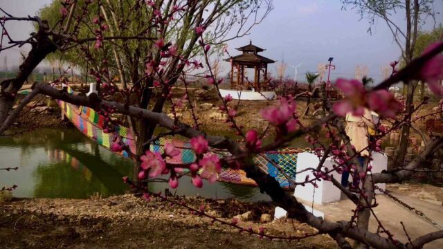 带宝宝欣赏农村的春天桃花,上天恩赐的风景