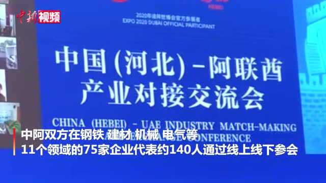 中国(河北)阿联酋产业对接交流会在石家庄举办