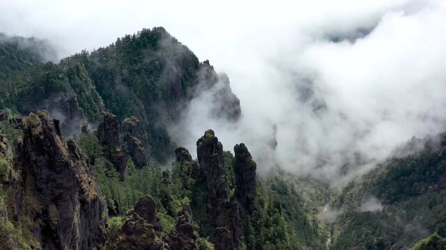 《文旅赏析之湖北经典旅游——神农架》作者:朱德勇