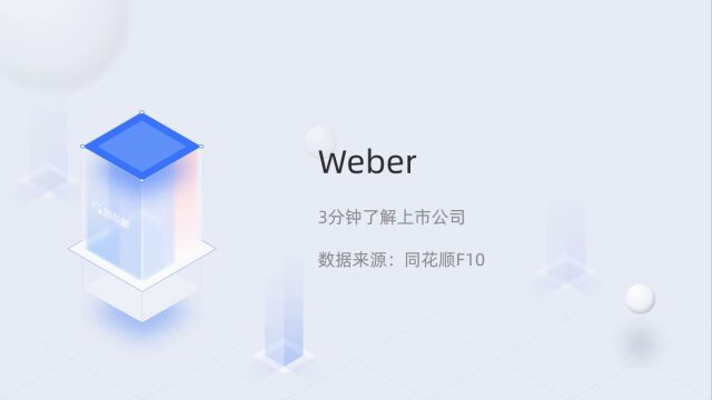 个股三分钟WeberWEBR.N04081719