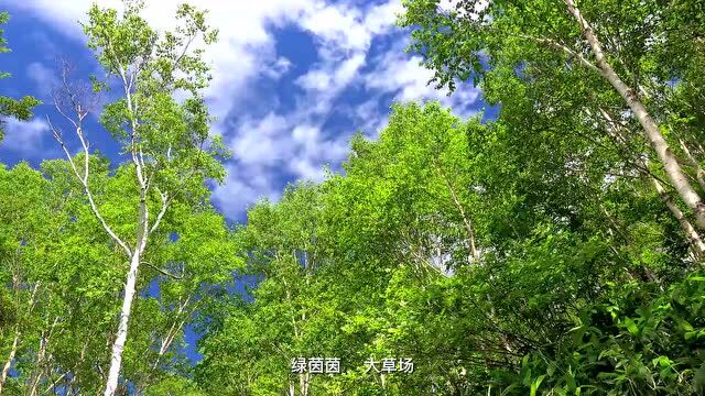 《春之歌》(作词孙和平 作曲吴建明 演唱编曲于洋 制作吴建明)