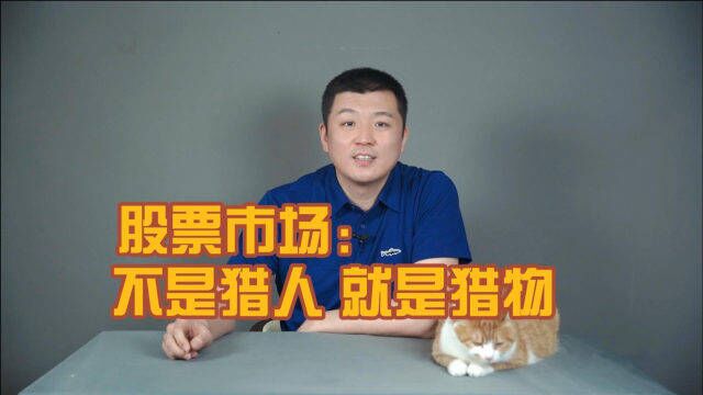 股票市场:不是猎人,就是猎物