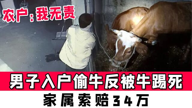 湖南一男子入户偷牛反被牛踢死,家属索赔34万,农户:我无责