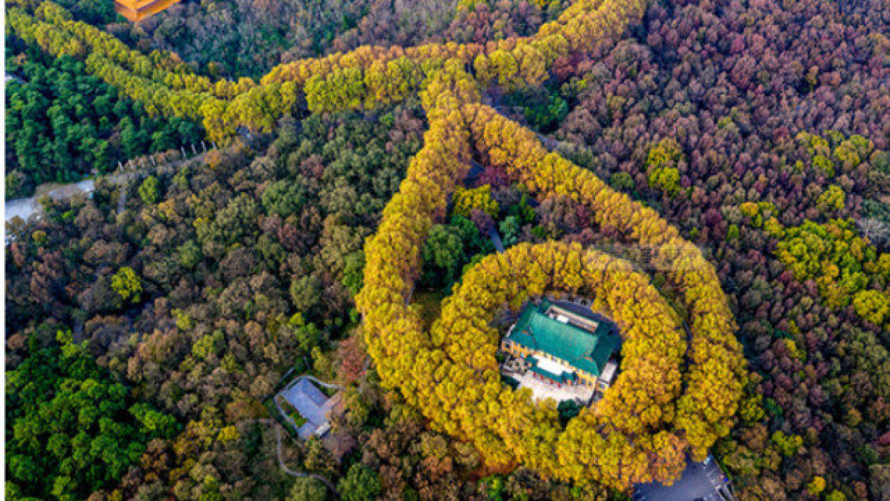 俯瞰南京中山陵,美龄宫的造型像一条巨大项链,内部豪华也很先进