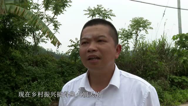 凭祥:群众让出致富机耕路 促进乡村振兴项目落地生根