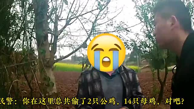 流窜作案,这个“土贼”落网