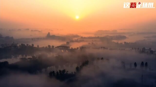 昔日“荒湖”今朝变湿地 扬州北湖湿地公园4月18日正式开园