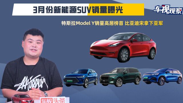 3月新能源SUV销量曝光!特斯拉Model Y高居榜首 比亚迪宋拿下亚军