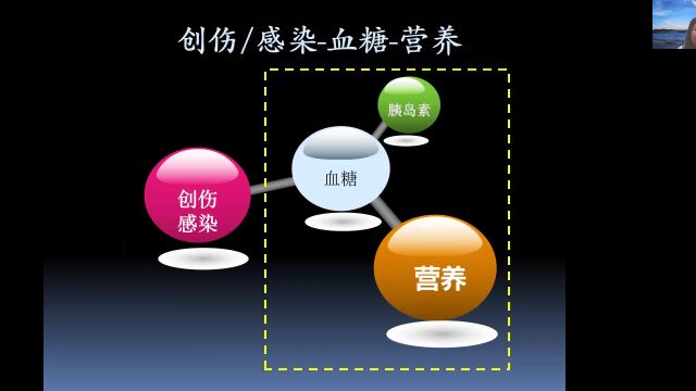 2022.4.28神经重症营养论坛