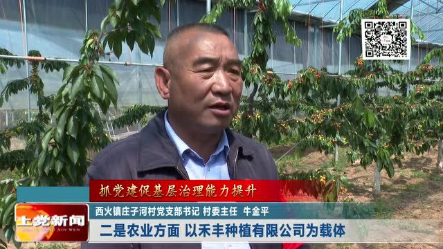 【抓党建促基层治理能力提升】西火镇:党建引领“三色”融合 担当实干乡村振兴