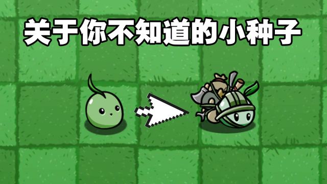 植物大战僵尸:关于你不知道的小种子!