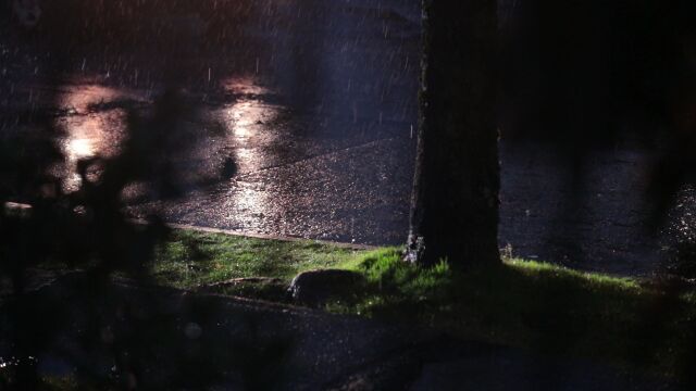 雨滴雨景、自然风景