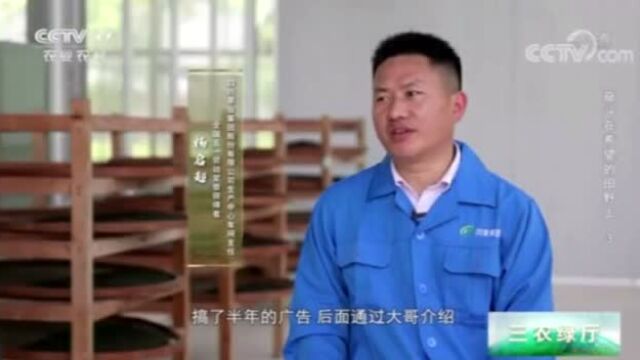 【视频】CCTV专访全国劳动奖章获得者川茶集团杨启超