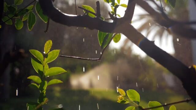 治愈雨水素材