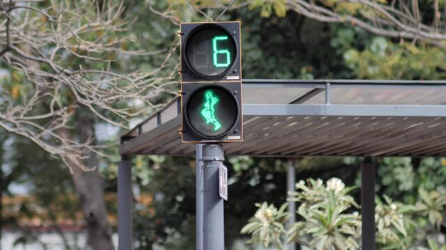 交通 城市 大街 街道 红绿灯 行人道 实景 