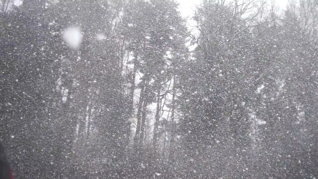 下雪|雪景|雪花|飘雪|冬至