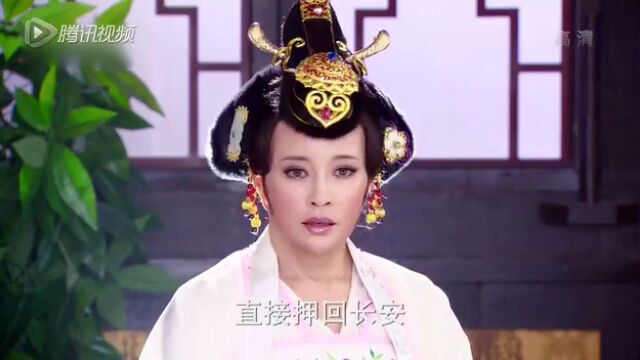 原来铁牛是故意留在西凉,只为探出真实情况,以防有备无患