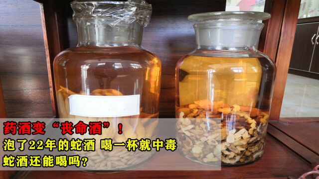 药酒变“丧命酒”!泡了22年的蛇酒,喝一杯就中毒,蛇酒还能喝吗?