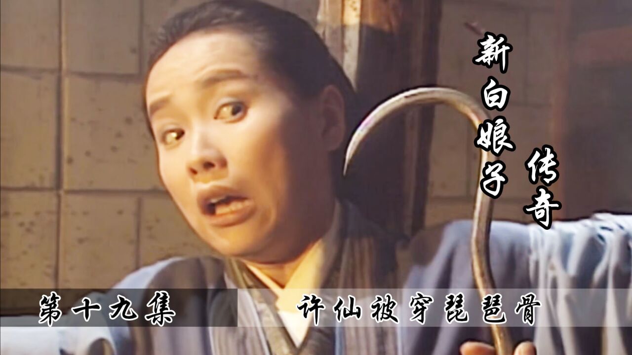许仙被穿琵琶骨,白素贞进京相救,法海:看我不收了你!