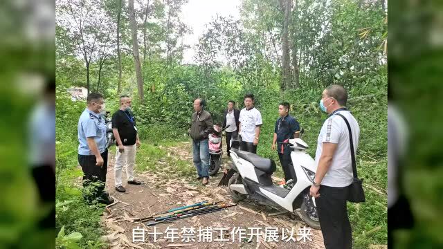 直击丨十年禁捕!新津区正在严厉打击中……