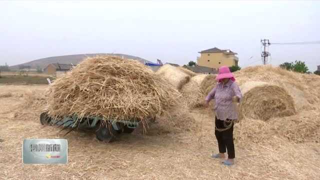 我县强化督促检查确保午季秸秆禁烧工作措施落到实处