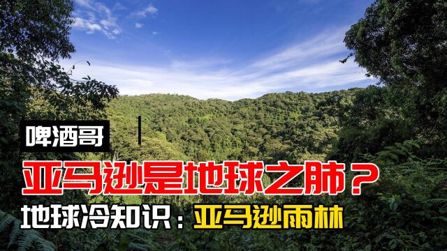 亚马逊热带雨林真的是地球之肺吗?是地球的氧气制造工厂吗?地球真正的来源于哪里?地球冷知识:亚马逊热带雨林